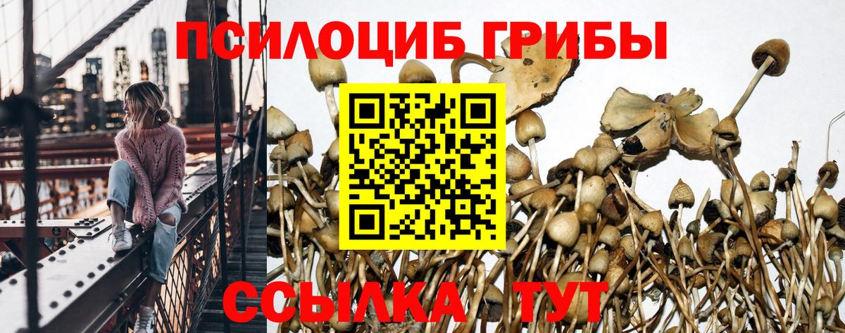 Псилоцибиновые грибы мухоморы Лянтор