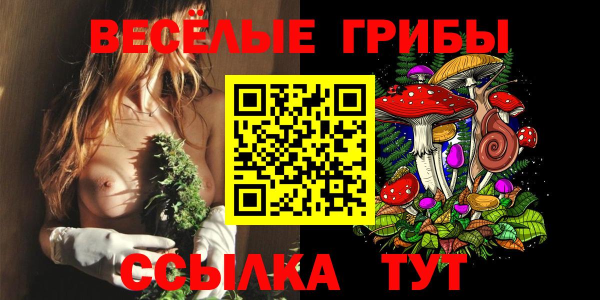 Псилоцибиновые грибы Psilocybine cubensis  Вход с VPN  Лянтор 